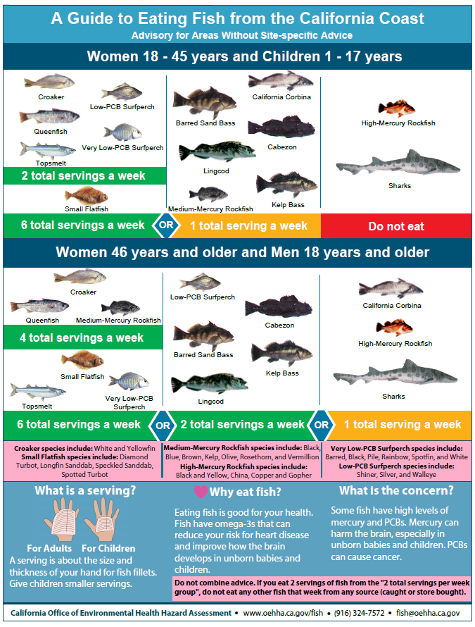 Safe-to-Eat Fish from the San Francisco Bay - San Mateo County Health