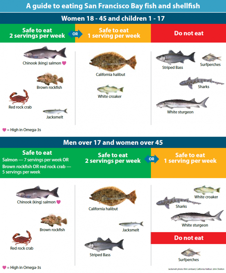 Safe-to-Eat Fish from the San Francisco Bay - San Mateo County Health ...